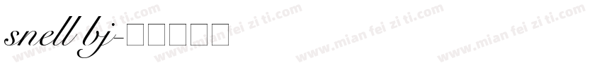 snell bj字体转换